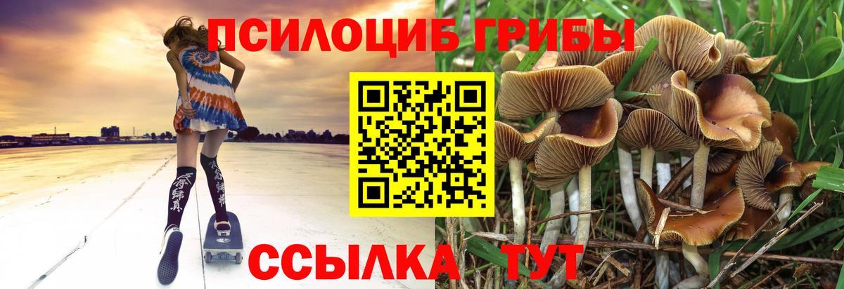 Галлюциногенные грибы MAGIC MUSHROOMS  Вход с VPN  Владикавказ 